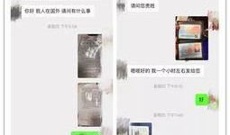 青岛企业爆料事件最新进展,真相逐步浮出水面