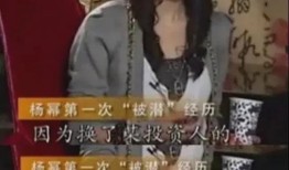 杜木子爆料娱乐圈偷盗,杜木子揭露惊人内幕