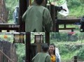 娱乐圈真实爆料何蓝逗,娱乐圈幕后真相大揭秘