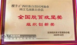 广西爆料新闻奖励,全民参与共创和谐社会