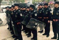 进贤执法学生爆料案件最新,揭开校园暴力背后的真相