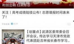 武清记者爆料新闻视频下载,揭秘事件背后真相