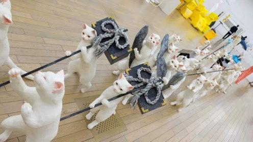 娱乐吃瓜君破防